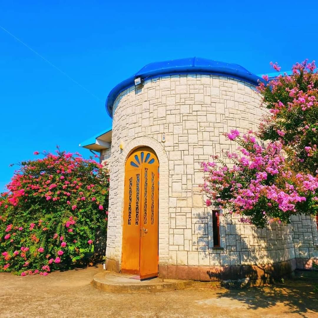 Blue Guest House Samtredia Zewnętrze zdjęcie