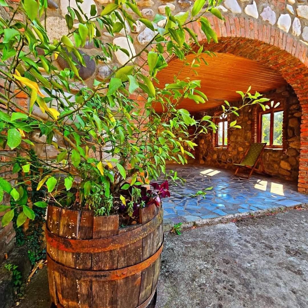 Blue Guest House Samtredia Zewnętrze zdjęcie