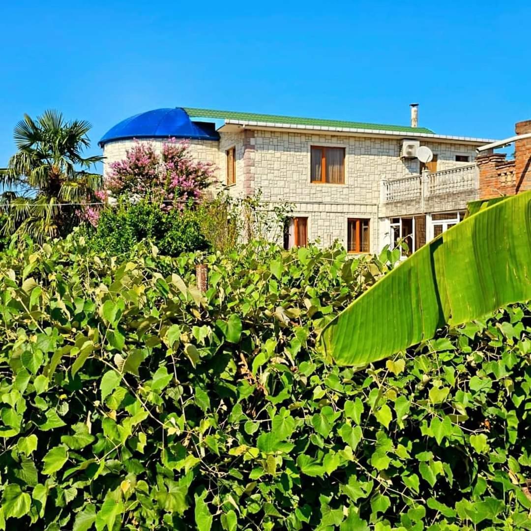 Blue Guest House Samtredia Zewnętrze zdjęcie